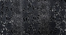 Snake Black